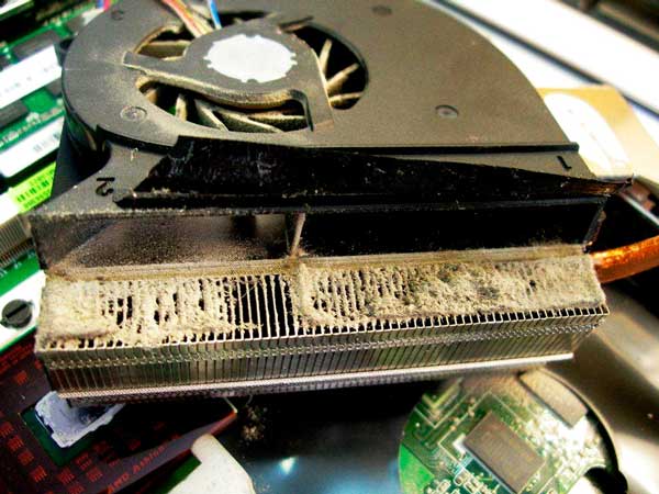vệ sinh máy tính laptop tại đà lạt